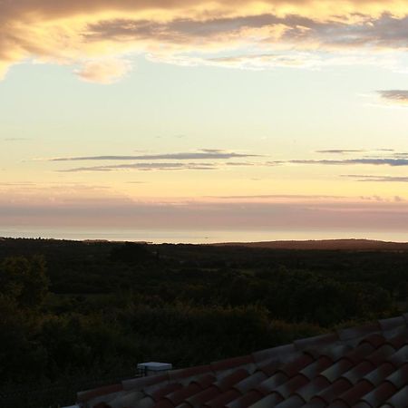 Villa Carolus-Luxurious Istrian Villa Barat  Екстериор снимка