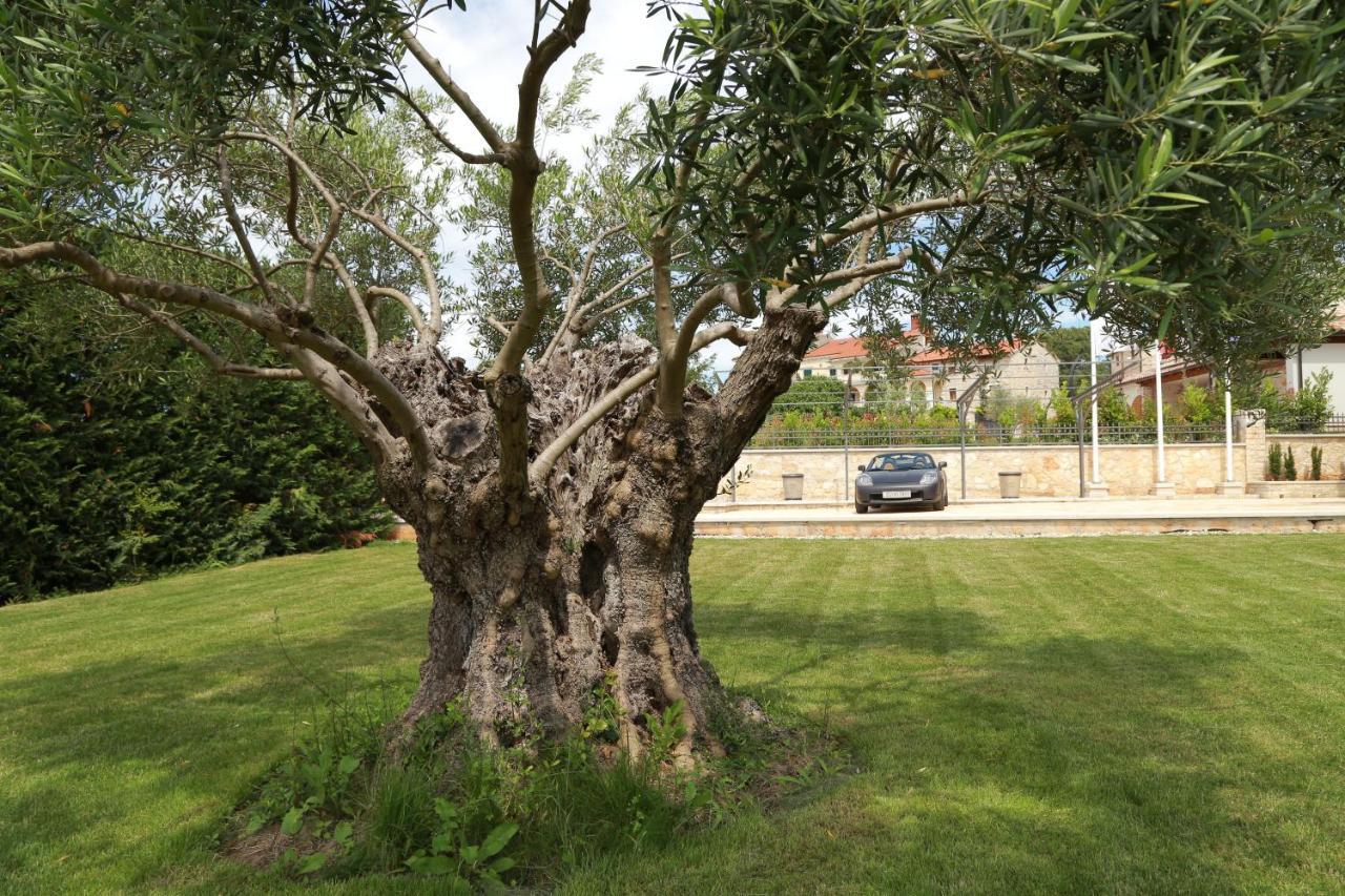 Villa Carolus-Luxurious Istrian Villa Barat  Екстериор снимка